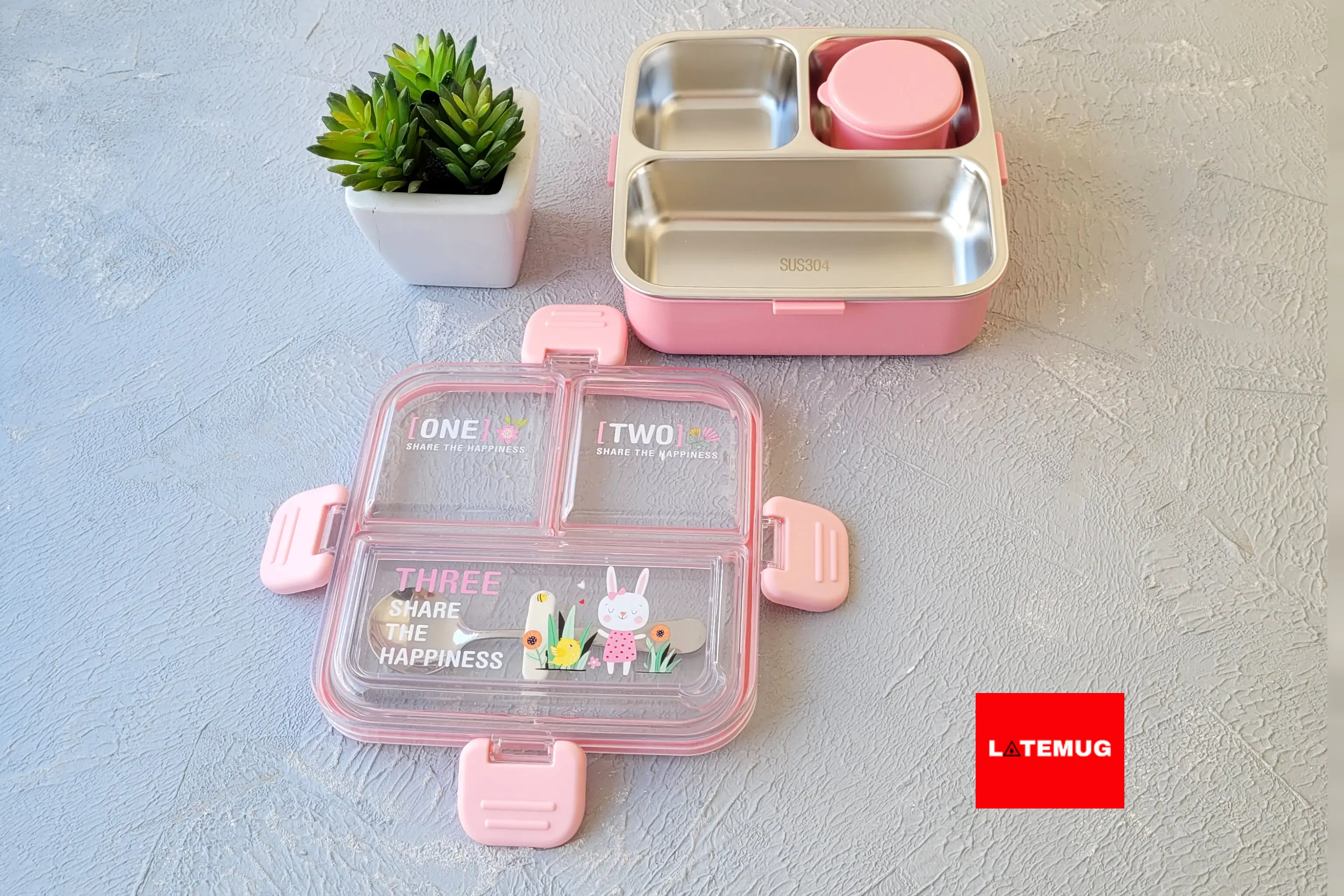 داخل ظرف استیل ٣٠۴ هست. کاسه داره. دربش چهارتا قفل لولایی محکم اطرافش هست