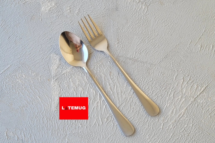 قاشق و چنگال استیل اختصاصی داره