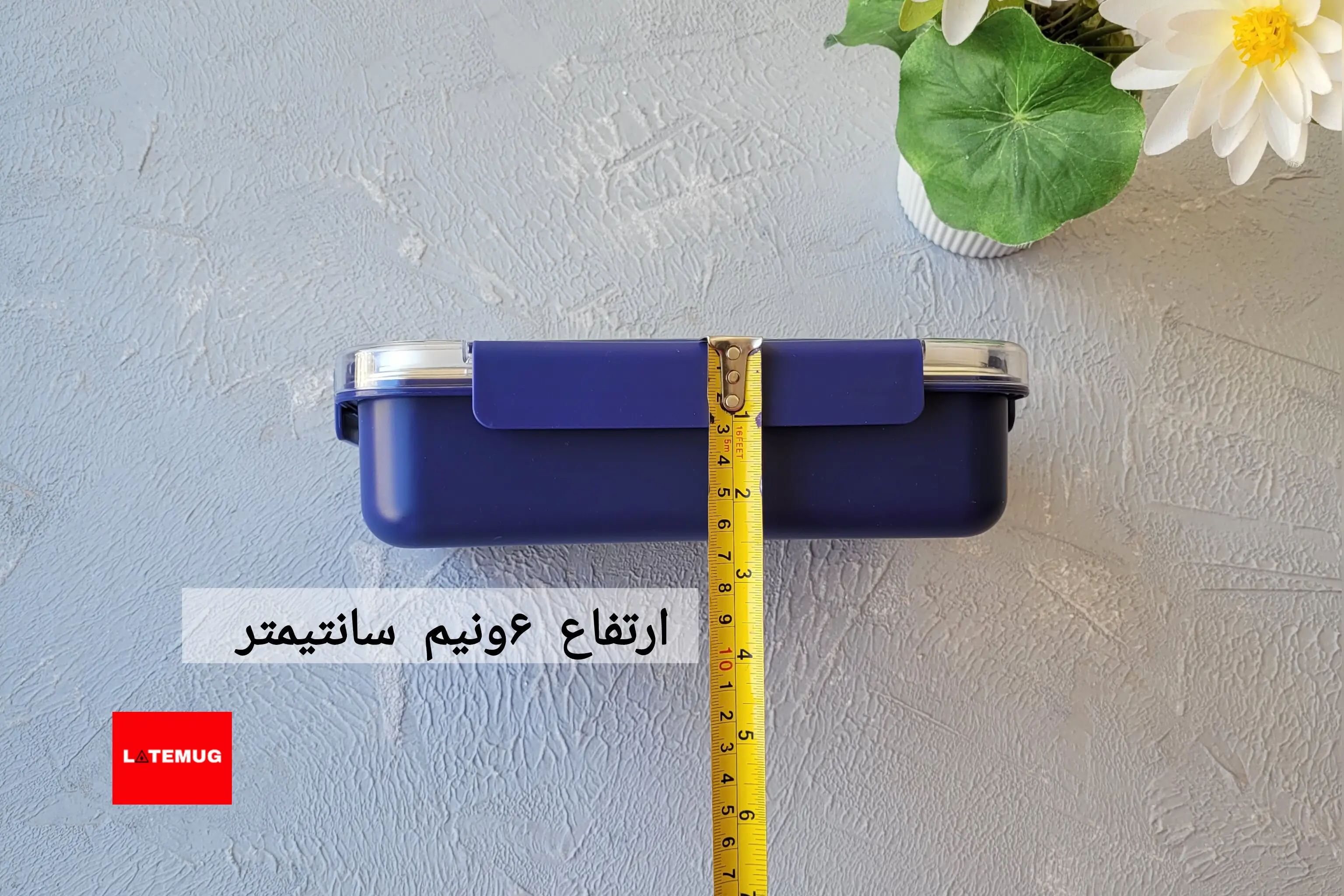 ارتفاع ظرف غذای دو خانه داخل استیل ۶ونیم سانتیمتر