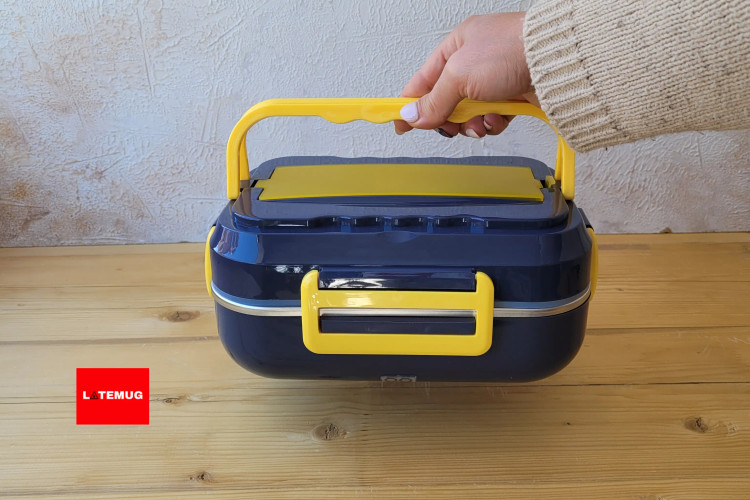 دارای دسته تاشو قابل حمل